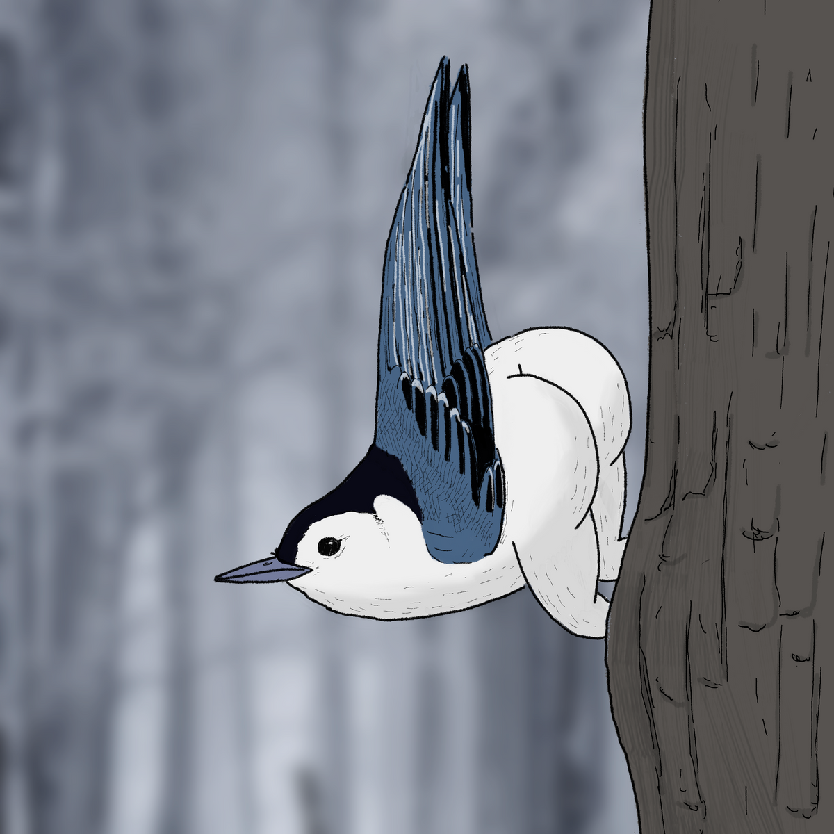 Extremely Accurate Bird Prints (8" or 12")
