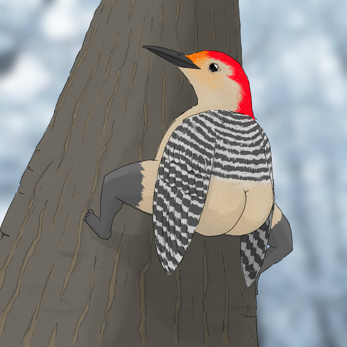 Extremely Accurate Bird Prints (8" or 12")