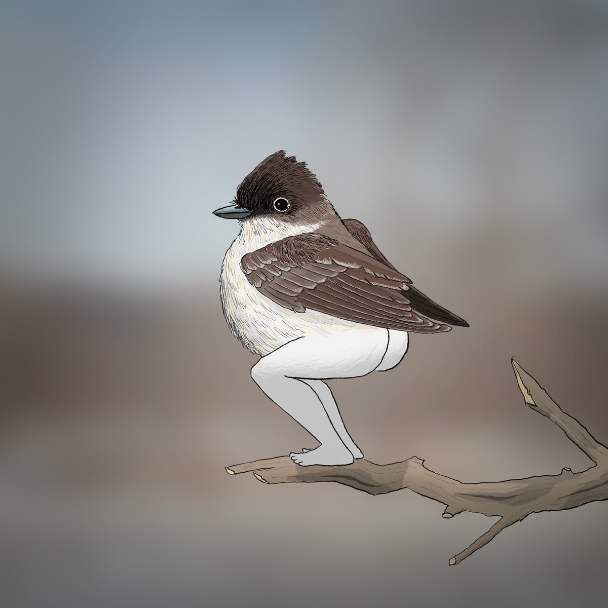 Extremely Accurate Bird Prints (8" or 12")