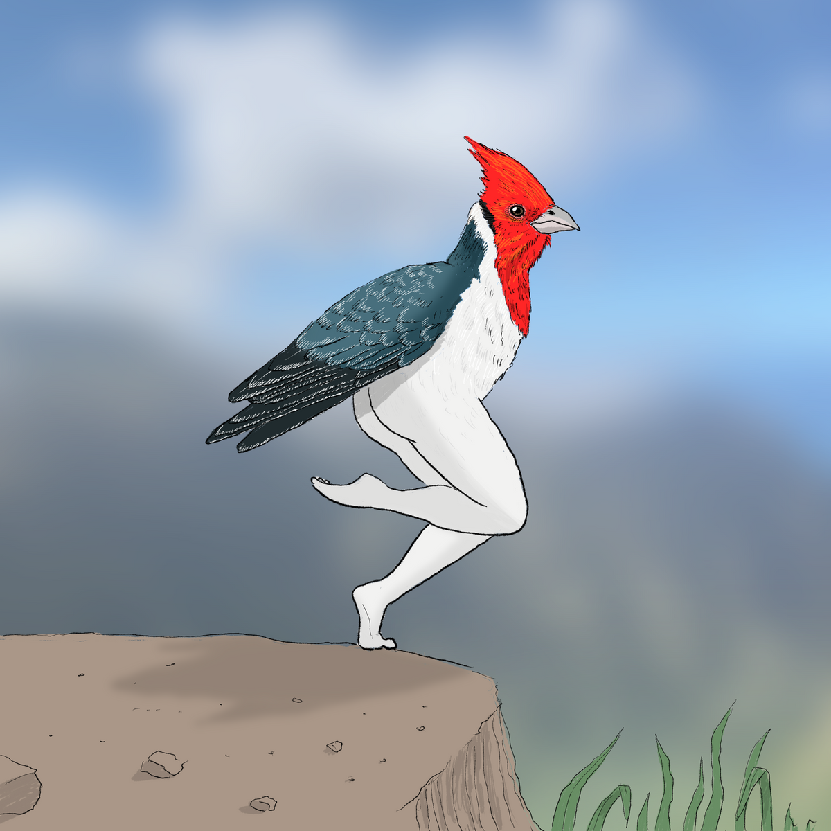 Extremely Accurate Bird Prints (8" or 12")