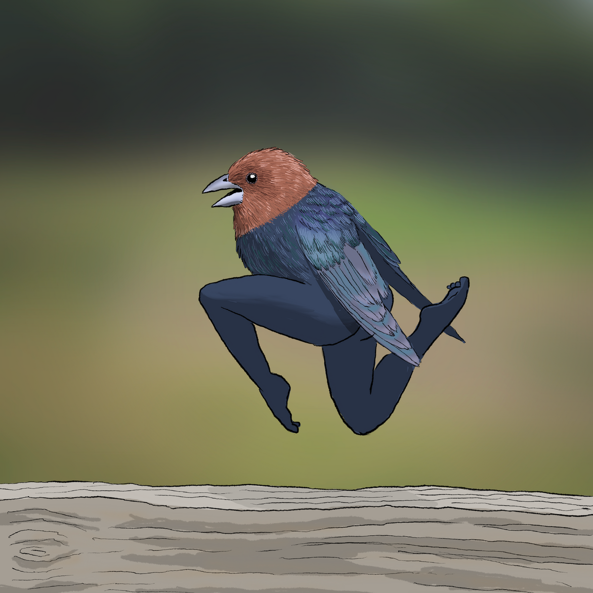 Extremely Accurate Bird Prints (8" or 12")
