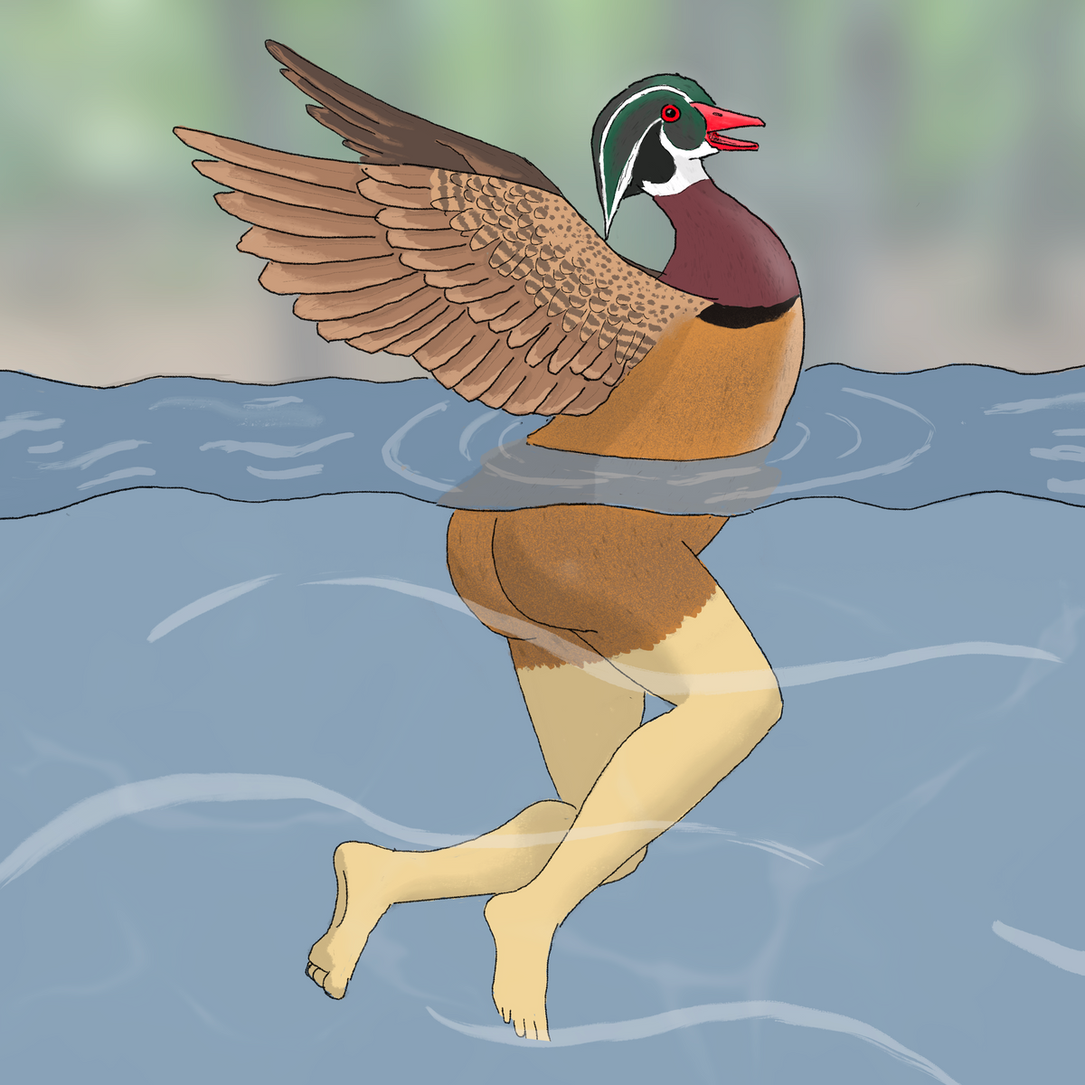 Extremely Accurate Bird Prints (8" or 12")