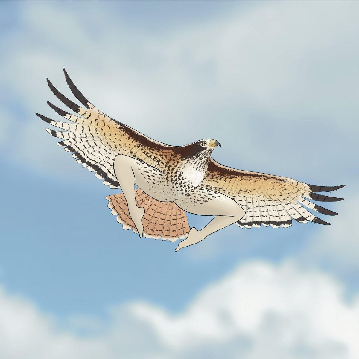Extremely Accurate Bird Prints (8" or 12")