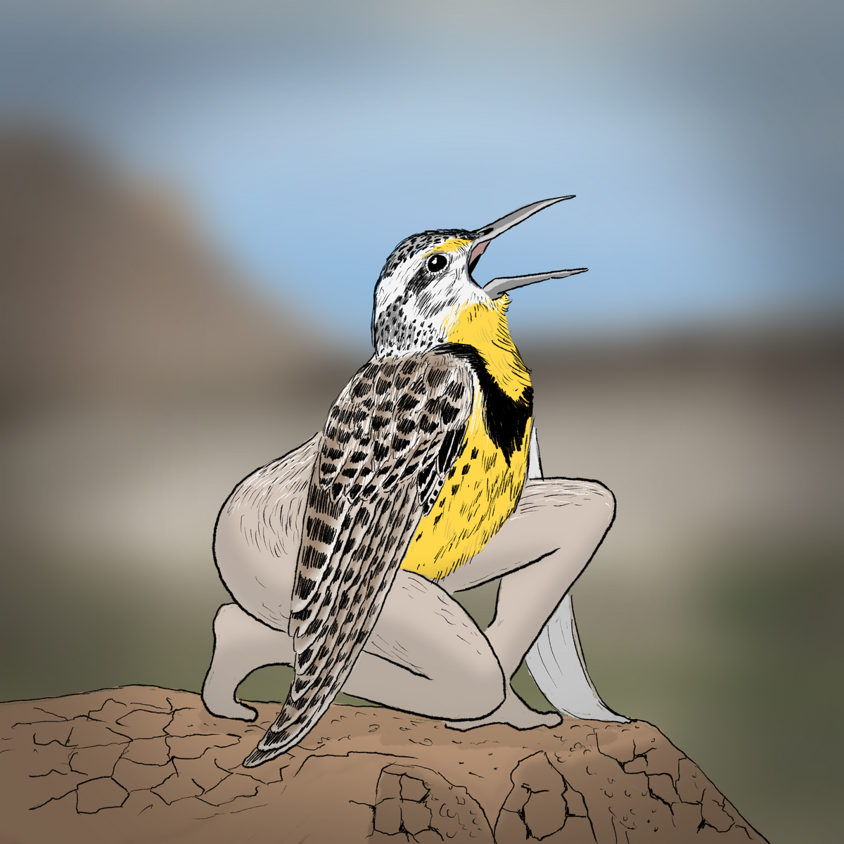 Extremely Accurate Bird Prints (8" or 12")