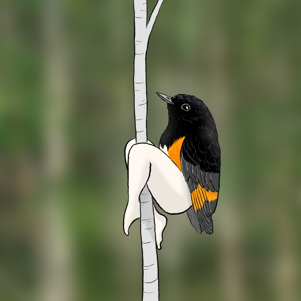 Extremely Accurate Bird Prints (8" or 12")
