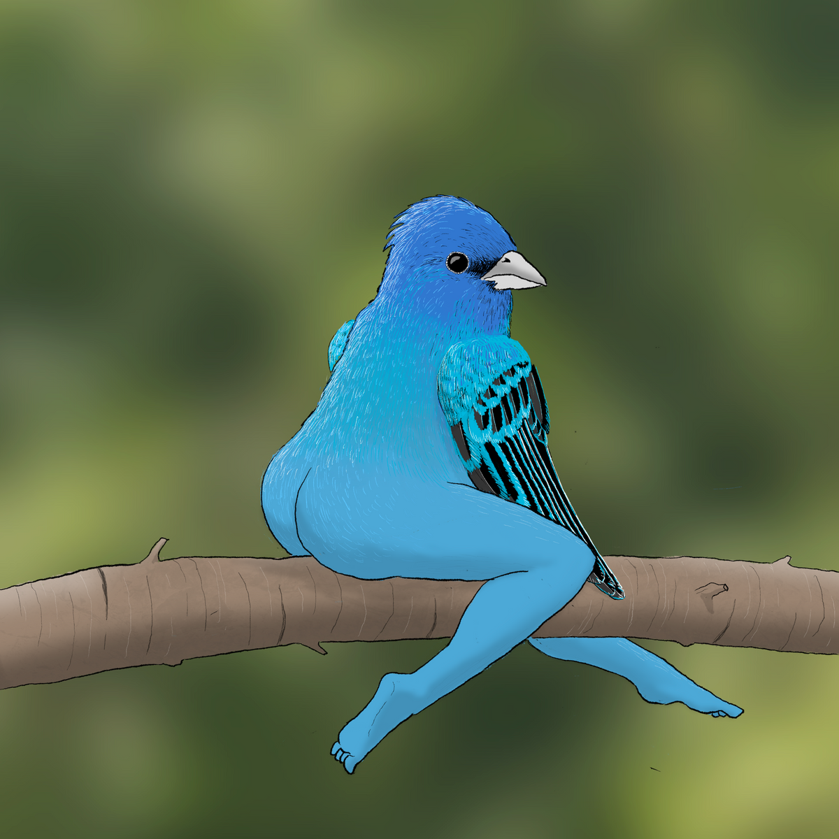 Extremely Accurate Bird Prints (8" or 12")