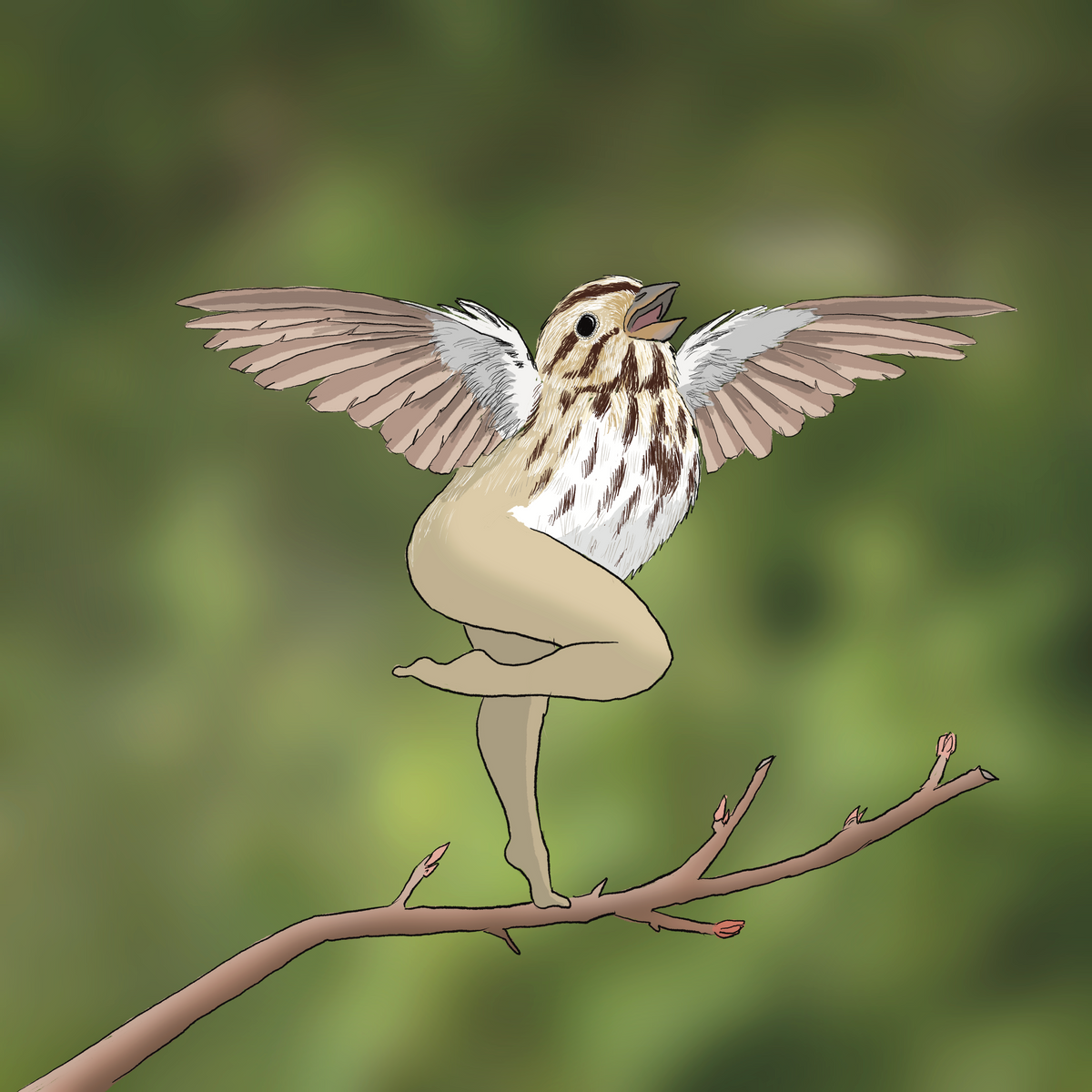 Extremely Accurate Bird Prints (8" or 12")