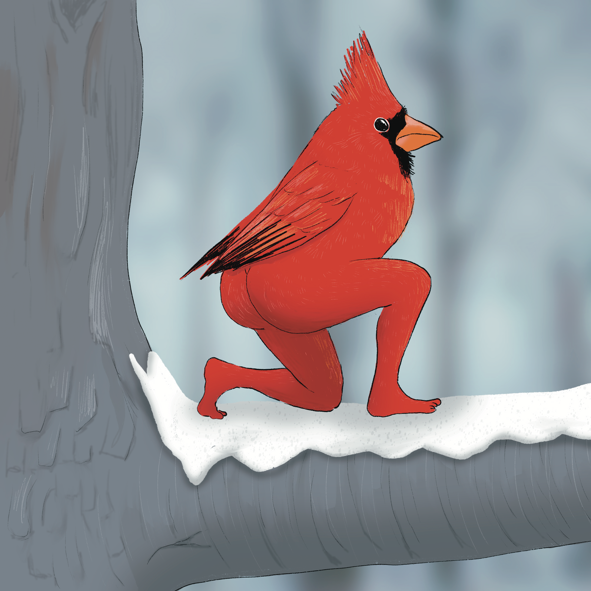 Extremely Accurate Bird Prints (8" or 12")
