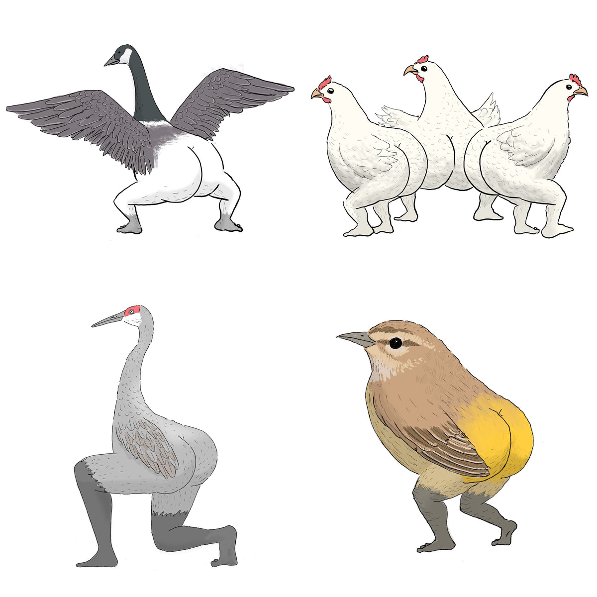 Precise Bird Stickers for Expert Birders (4-Pack) - 2022 Edition
