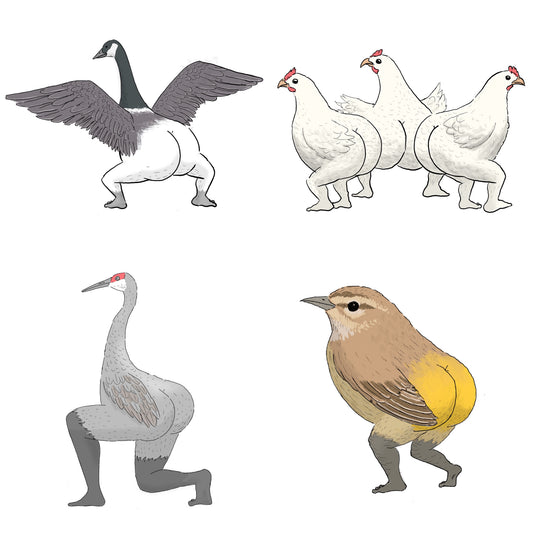 Precise Bird Stickers for Expert Birders (4-Pack) - 2022 Edition