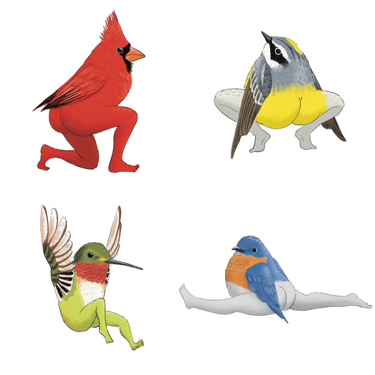 Precise Bird Stickers for Expert Birders (4-Pack) - 2023 Edition