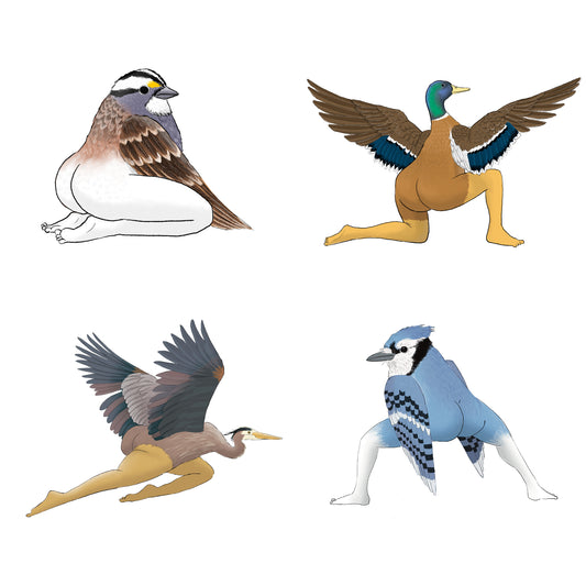 Precise Bird Stickers for Expert Birders (4-Pack) - 2024 First Edition