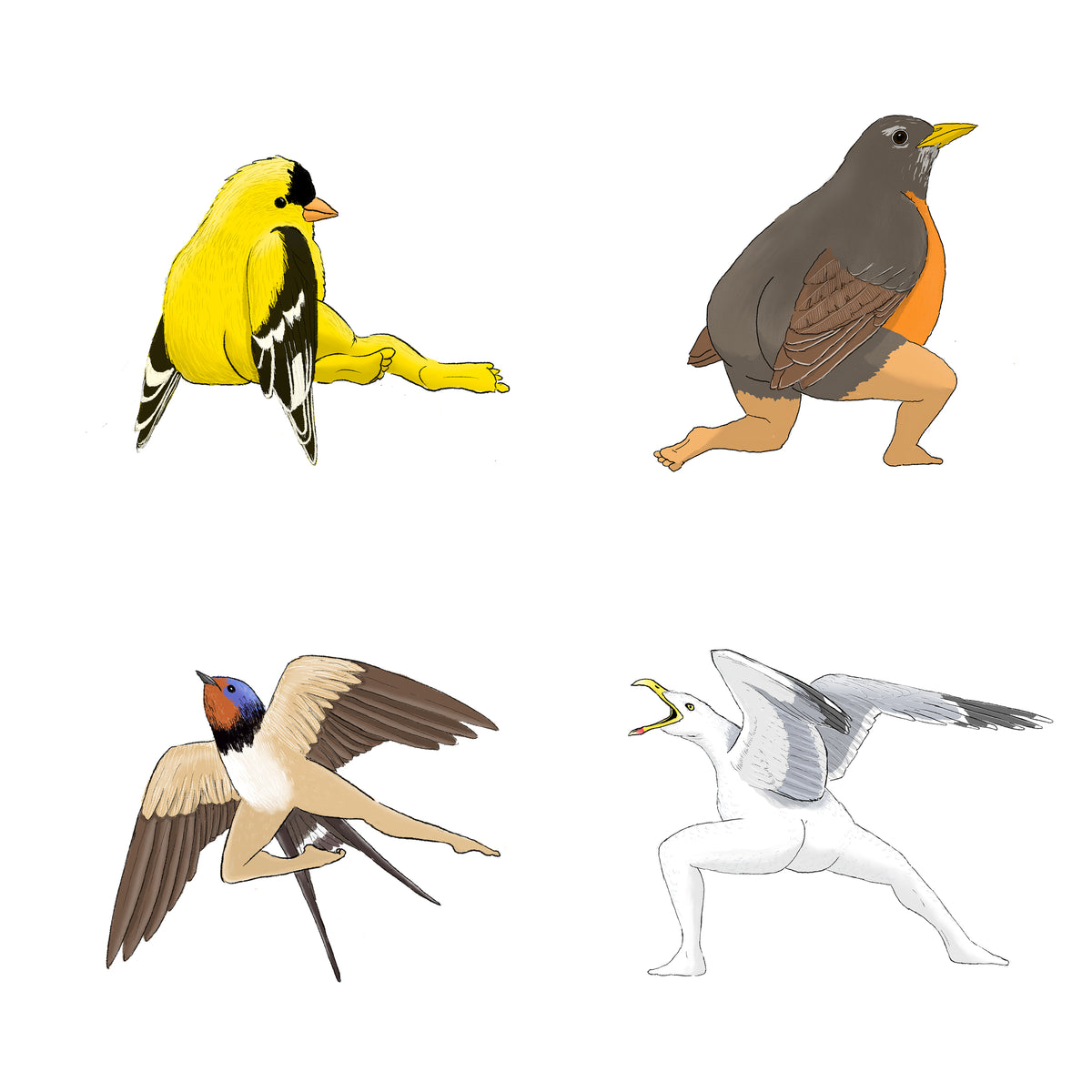 Precise Bird Stickers for Expert Birders (4-Pack) - 2024 Second Edition