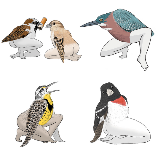 Precise Bird Stickers for Expert Birders (4-Pack) - 2026 First Edition