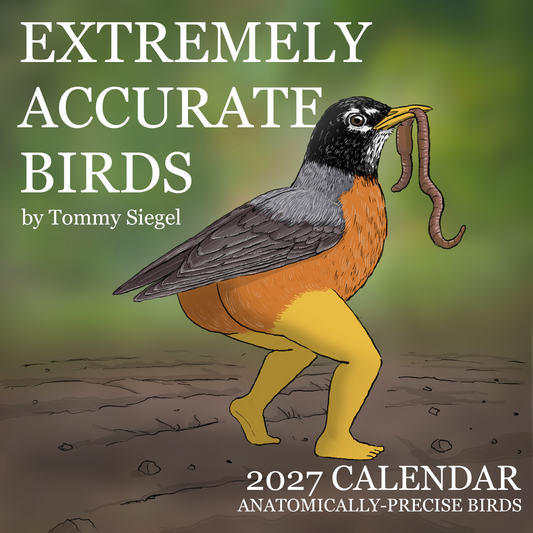 2027 Calendar of Extremely Accurate Birds