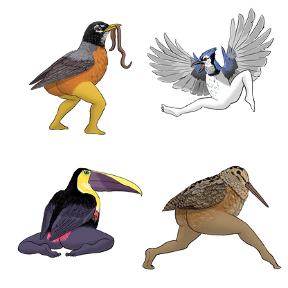 Precise Bird Stickers for Expert Birders (4-Pack) - 2027 Edition
