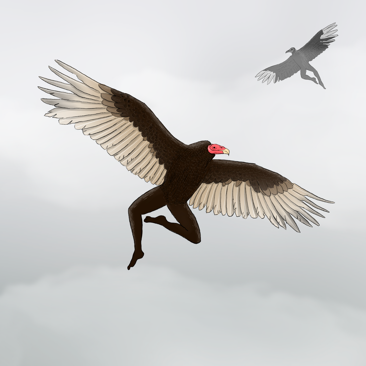 Extremely Accurate Bird Prints (8" or 12")