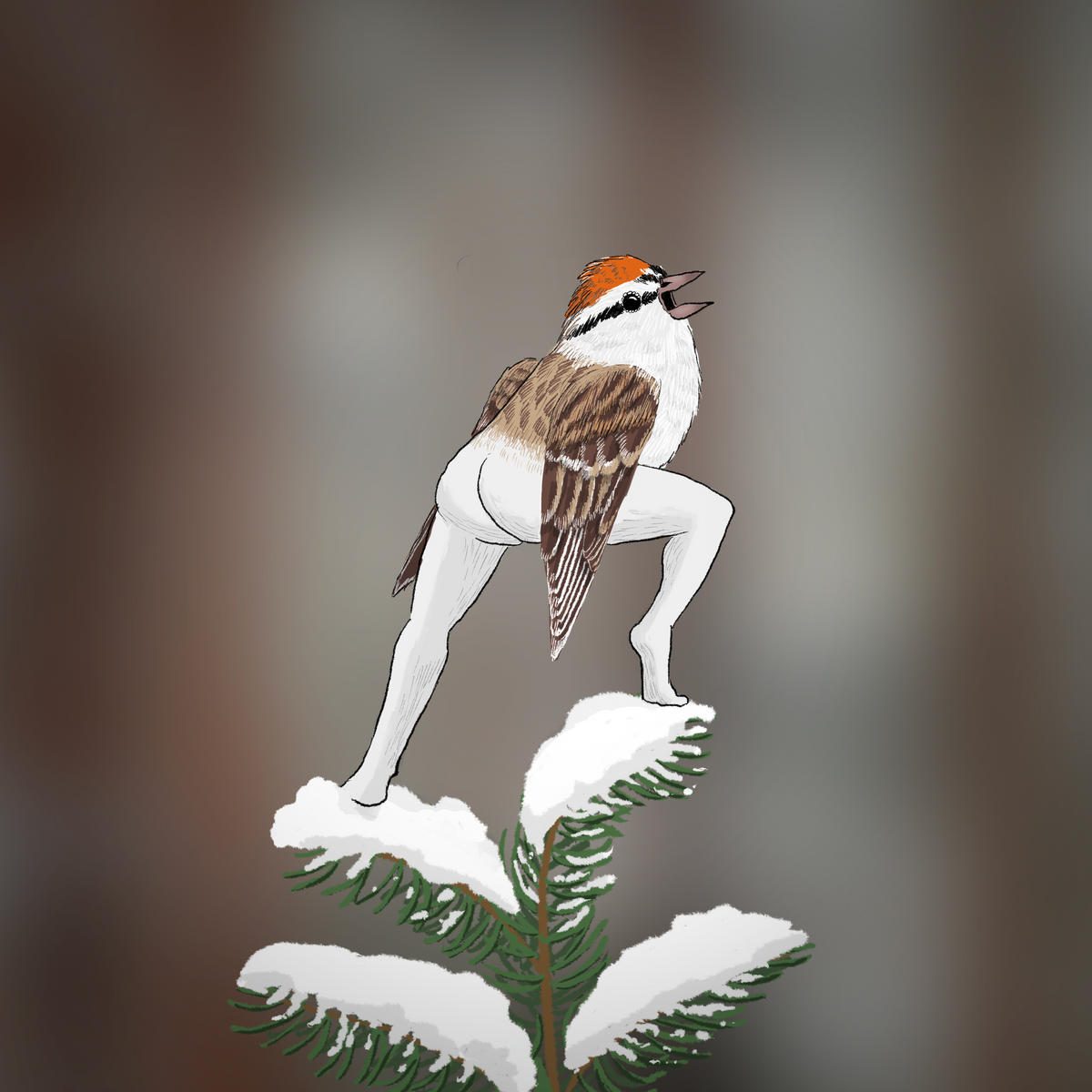 Extremely Accurate Bird Prints (8" or 12")