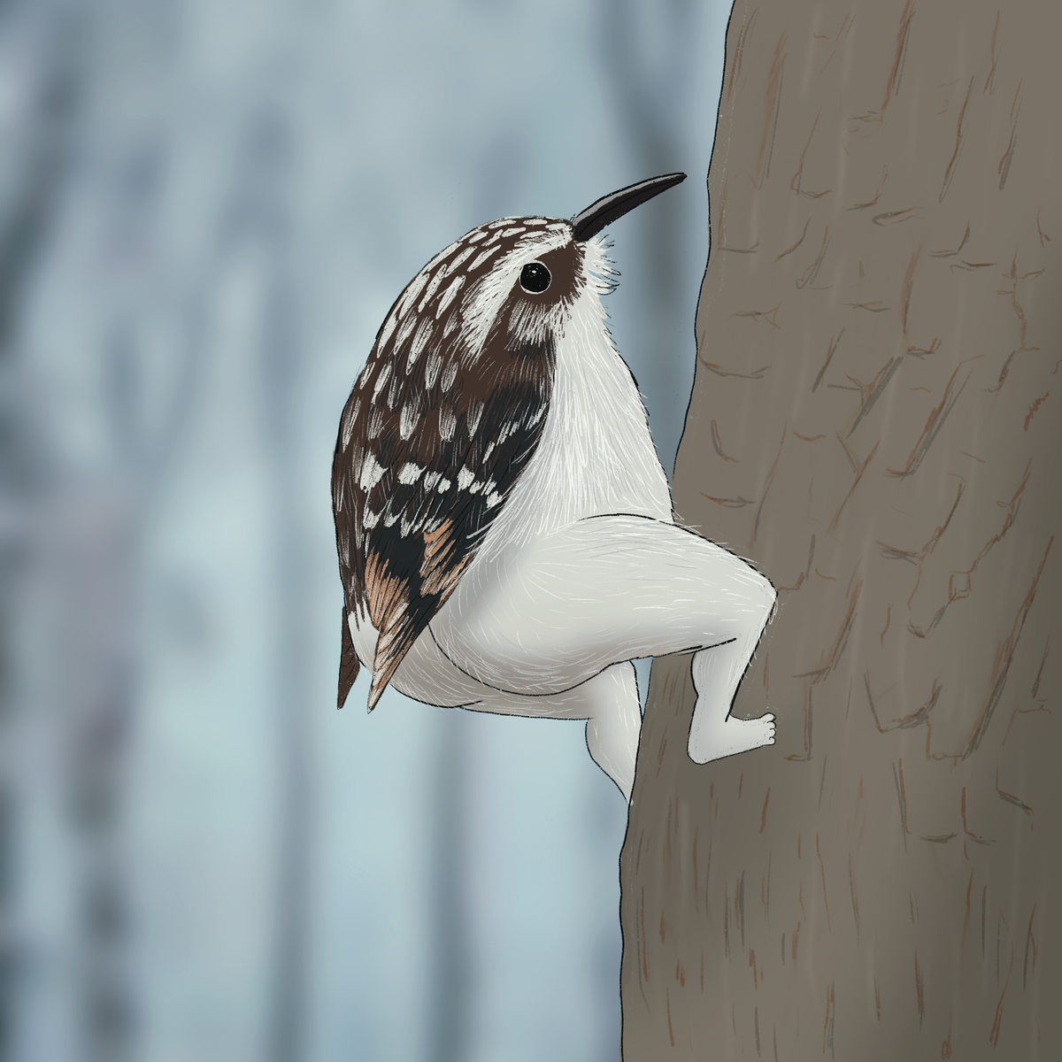 Extremely Accurate Bird Prints (8" or 12")