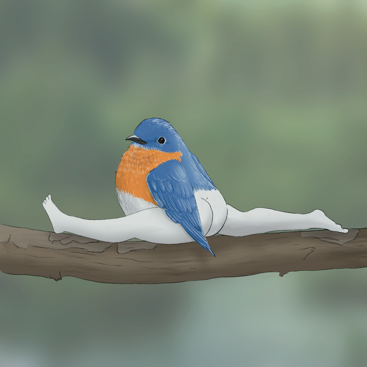 Extremely Accurate Bird Prints (8" or 12")