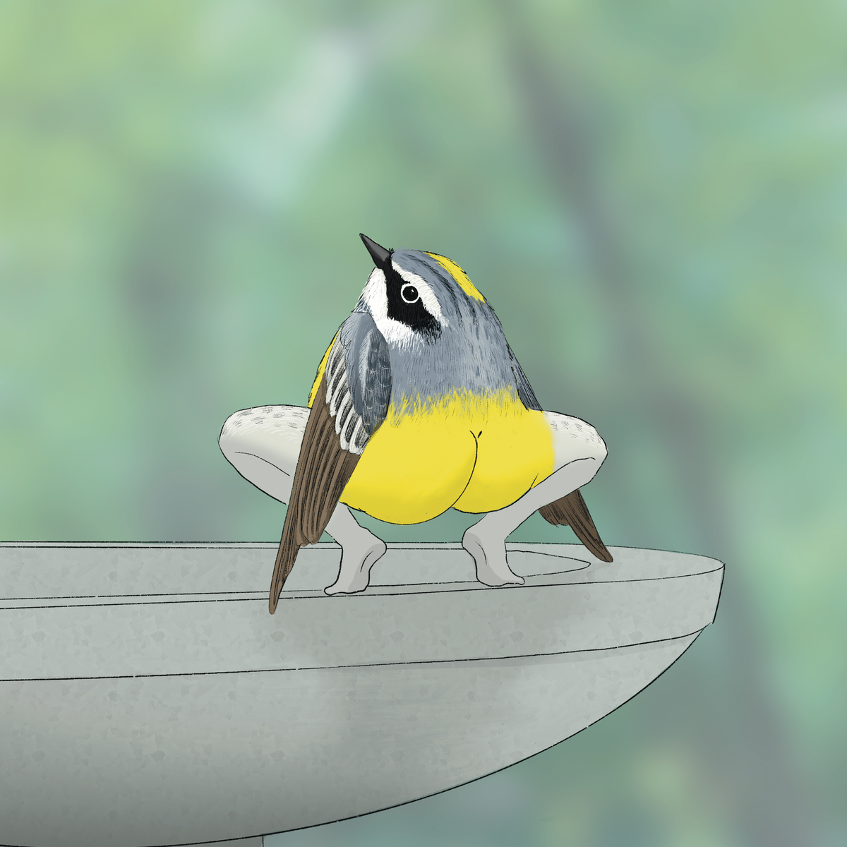 Extremely Accurate Bird Prints (8" or 12")
