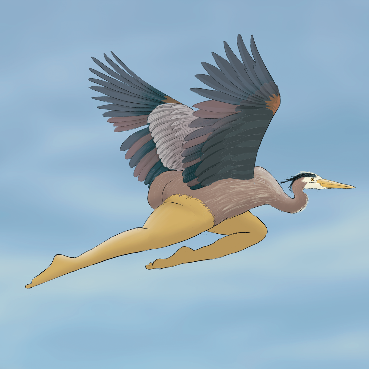 Extremely Accurate Bird Prints (8" or 12")
