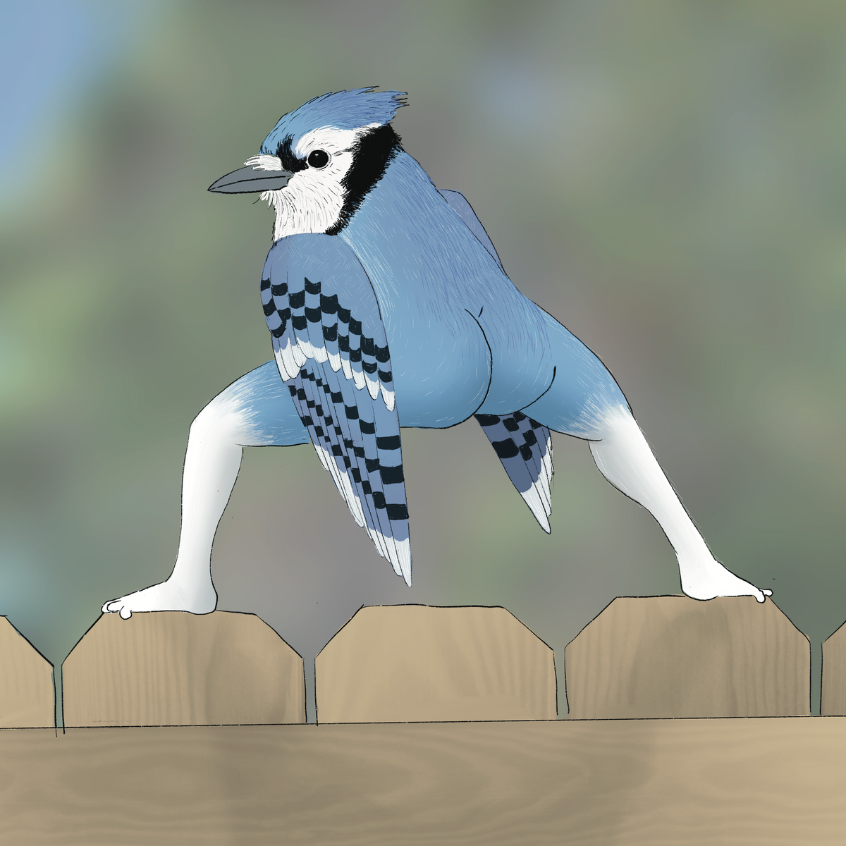Extremely Accurate Bird Prints (8" or 12")
