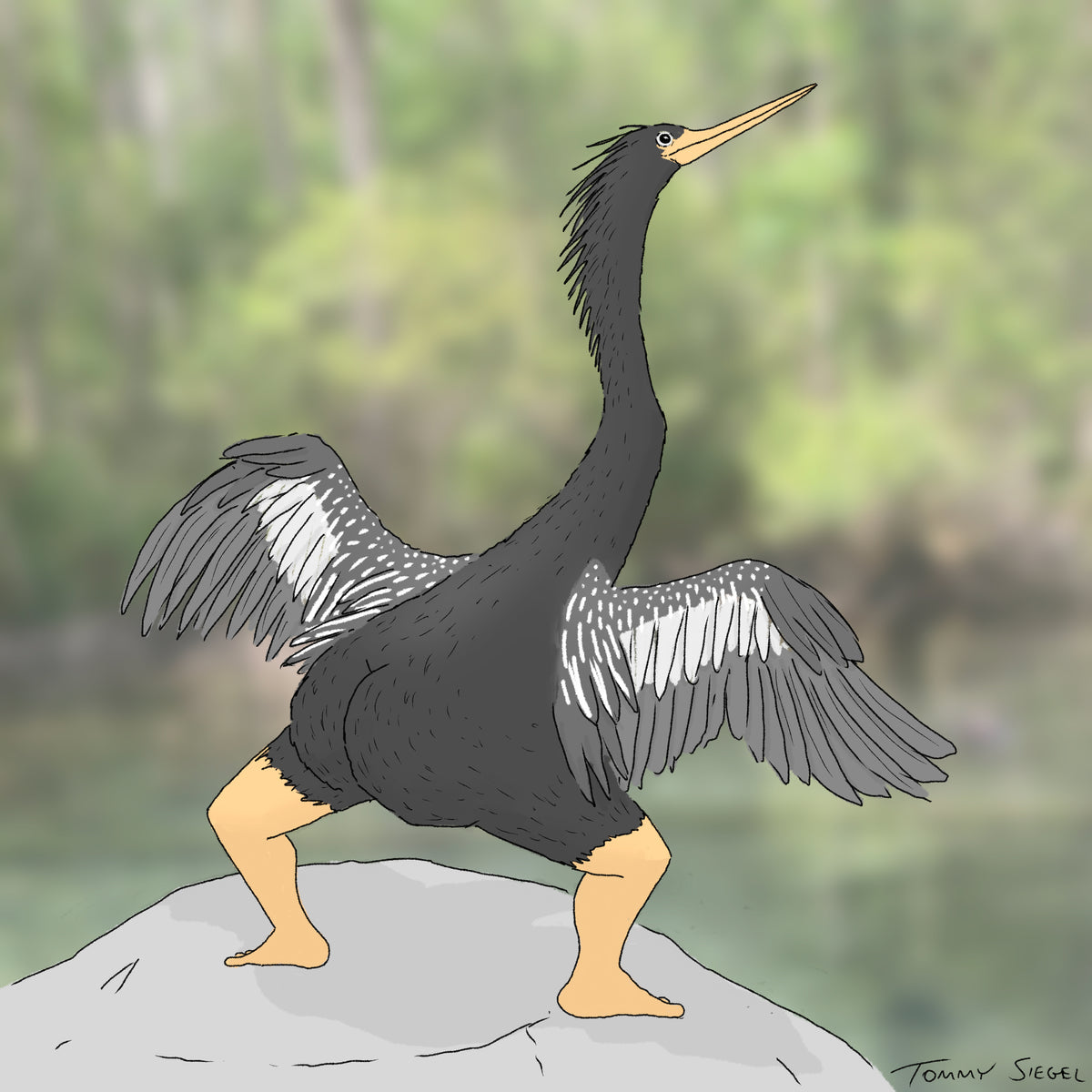 Extremely Accurate Bird Prints (8" or 12")