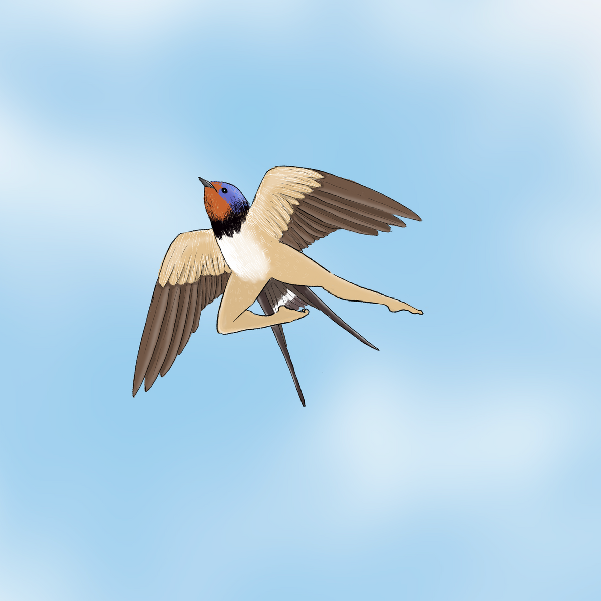 Extremely Accurate Bird Prints (8" or 12")