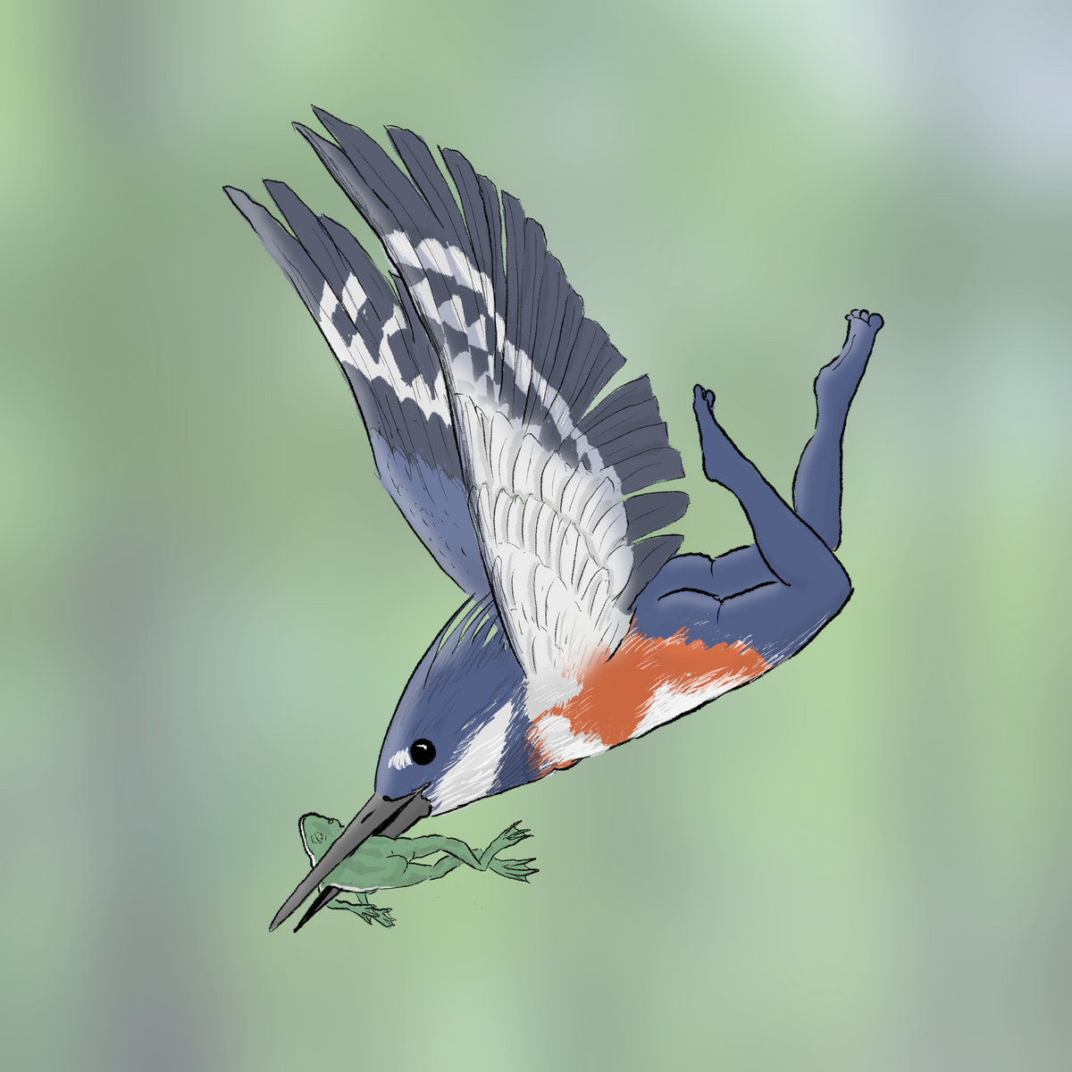 Extremely Accurate Bird Prints (8" or 12")