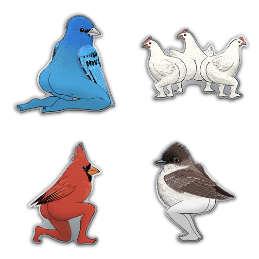 Extremely Accurate Bird Pins (Individual Pins)