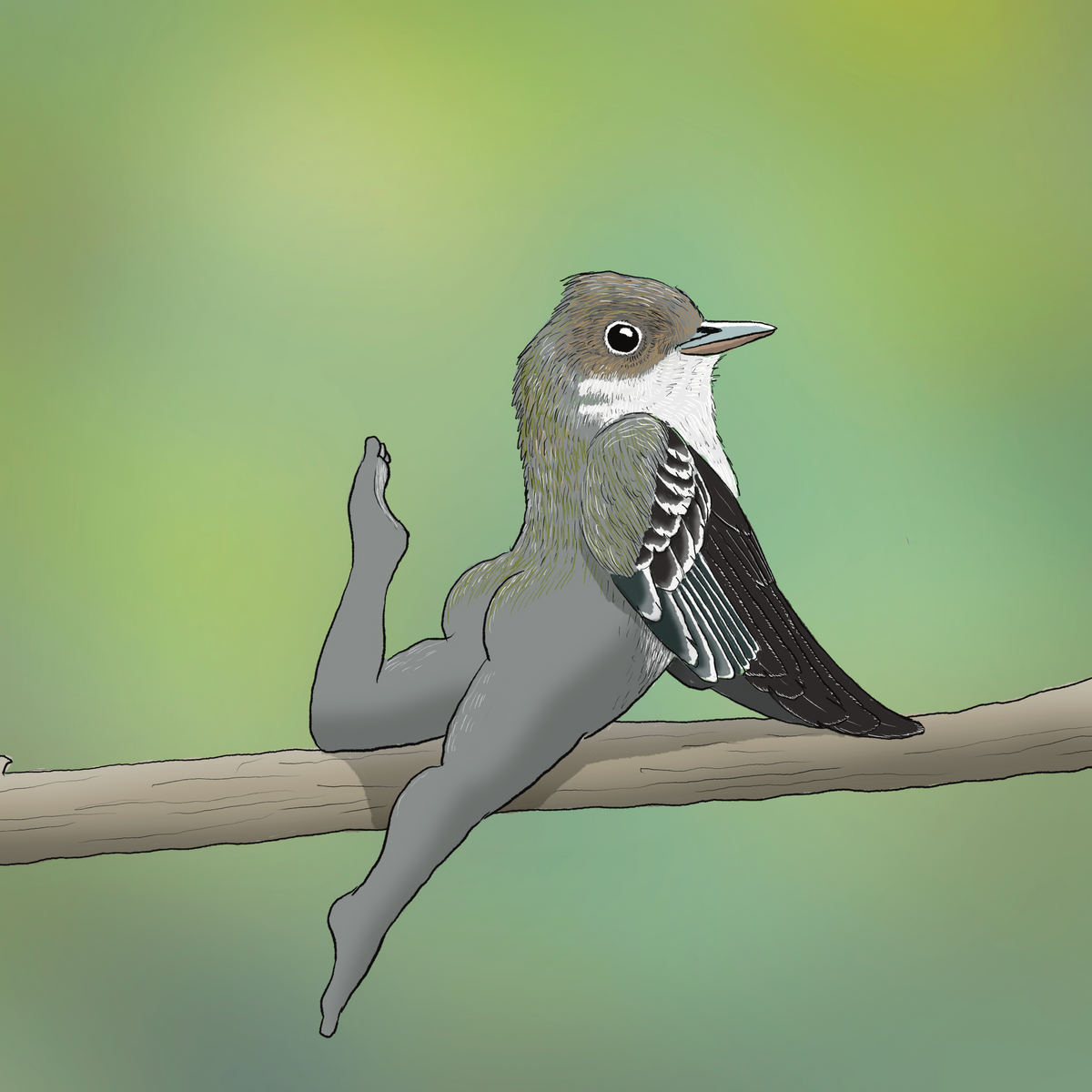 Extremely Accurate Bird Prints (8" or 12")