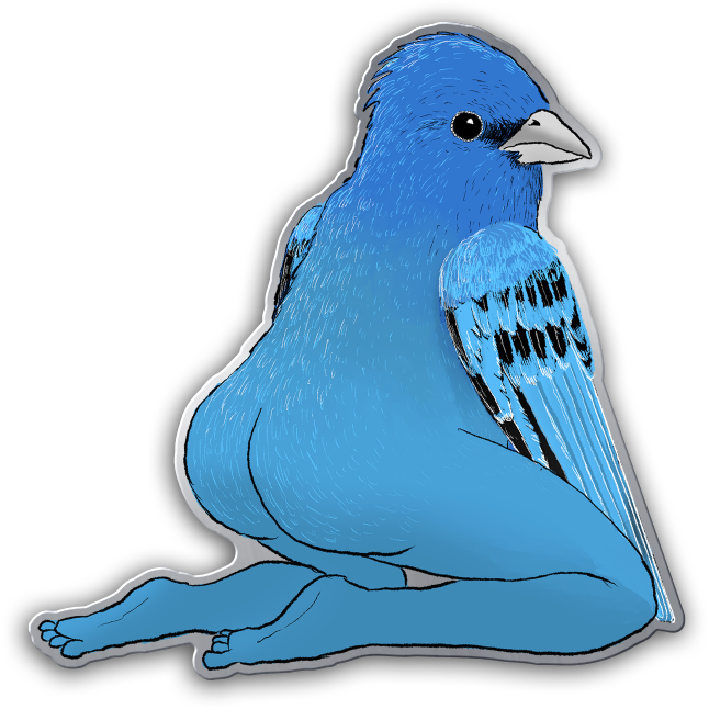 Extremely Accurate Bird Pins (Individual Pins)
