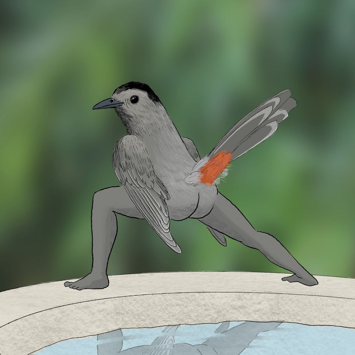 Extremely Accurate Bird Prints (8" or 12")
