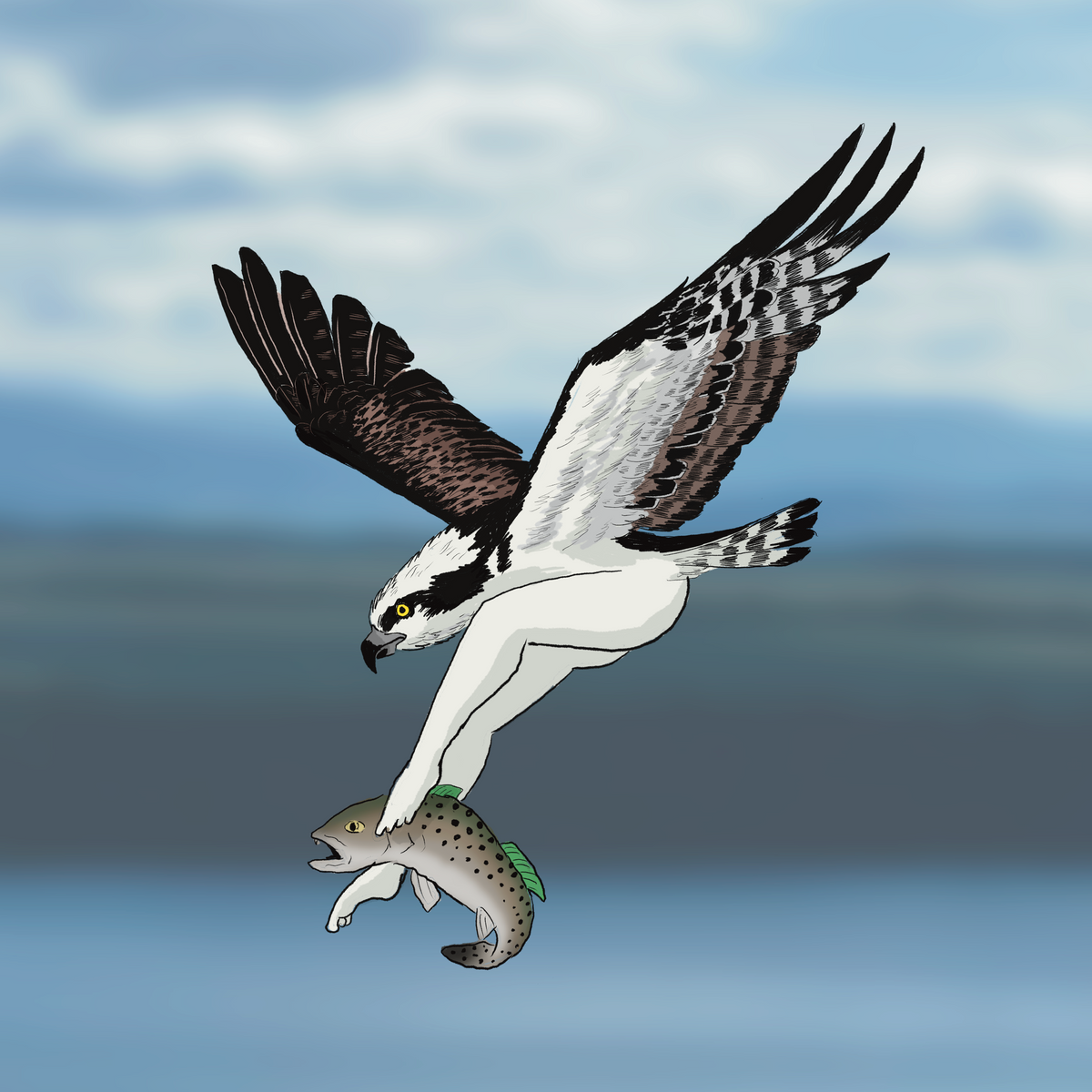 Extremely Accurate Bird Prints (8" or 12")