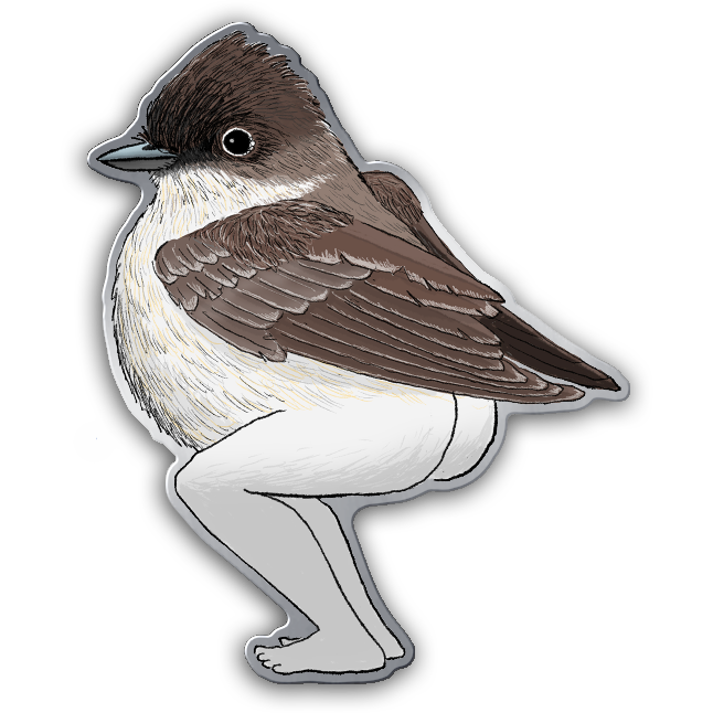 Extremely Accurate Bird Pins (Individual Pins)