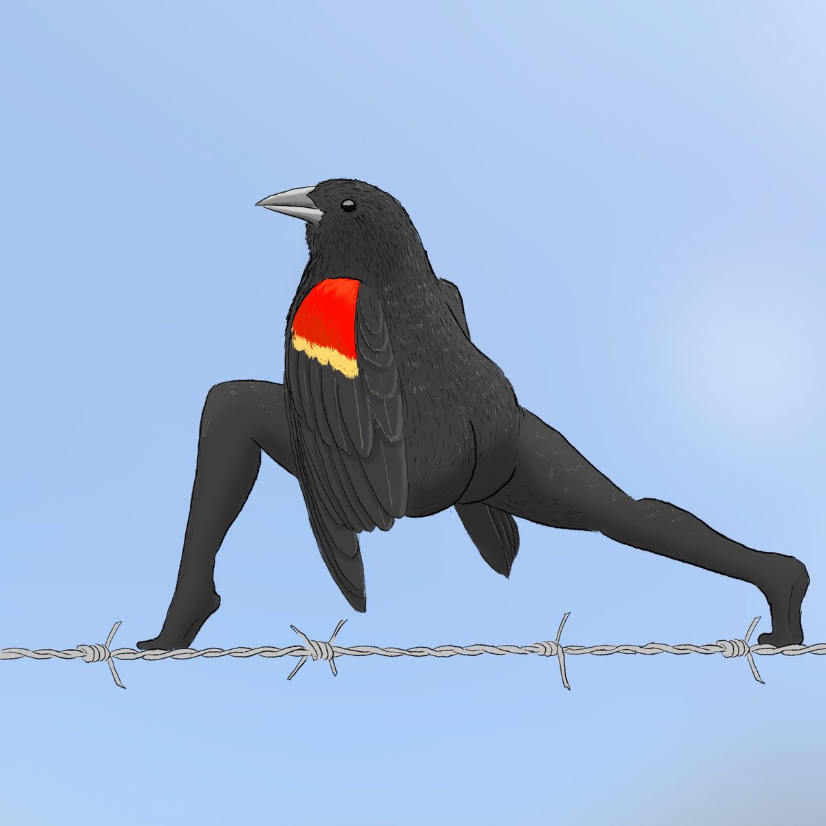 Extremely Accurate Bird Prints (8" or 12")