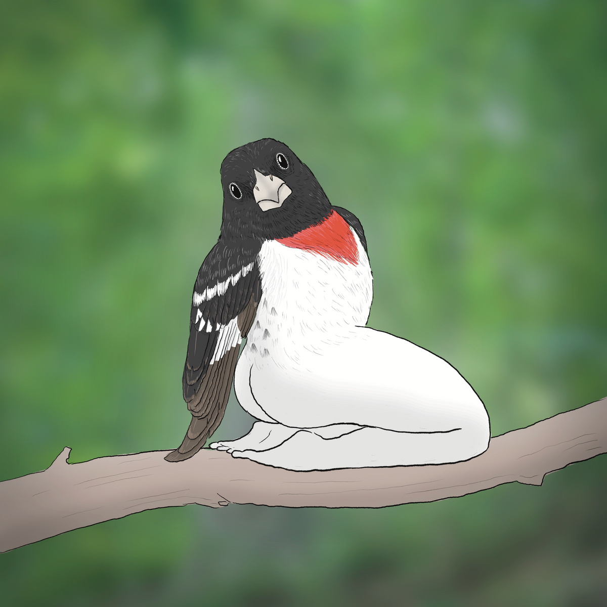 Extremely Accurate Bird Prints (8" or 12")