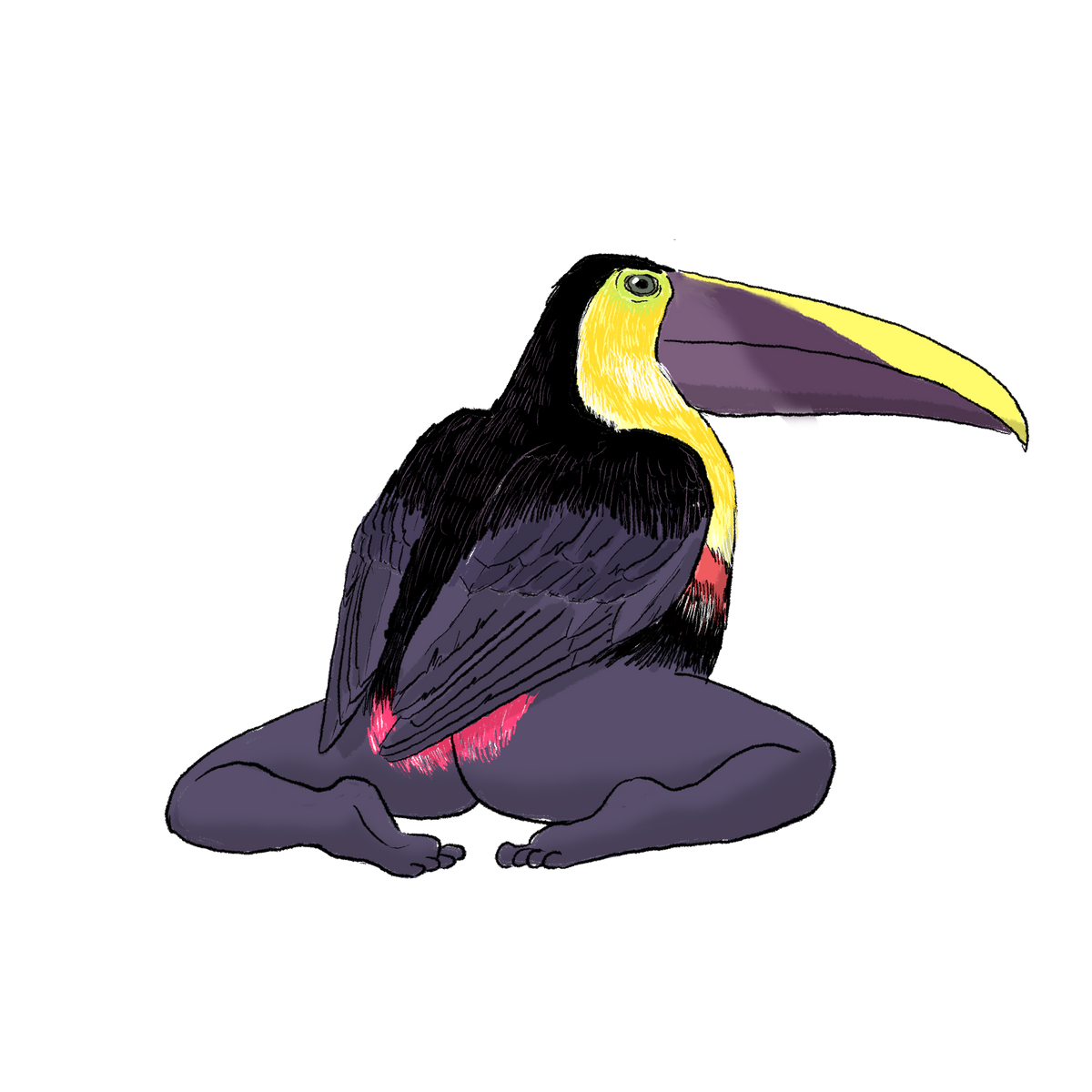 Precise Bird Stickers for Expert Birders (4-Pack) - 2027 Edition