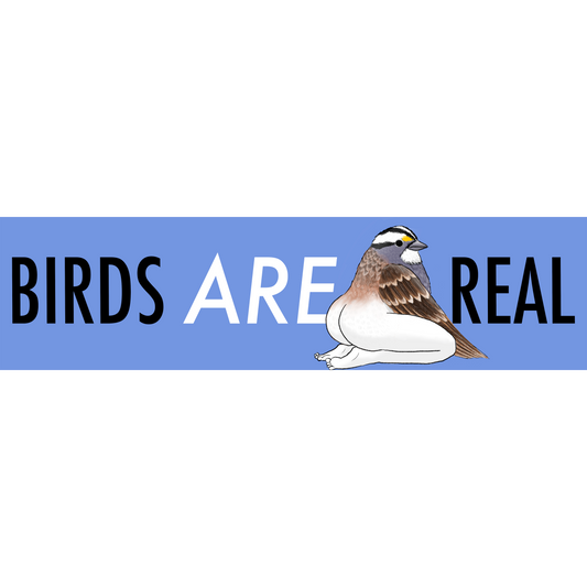 Birds Are Real Sticker